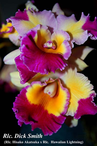 Rlc. Dick Smith_7182