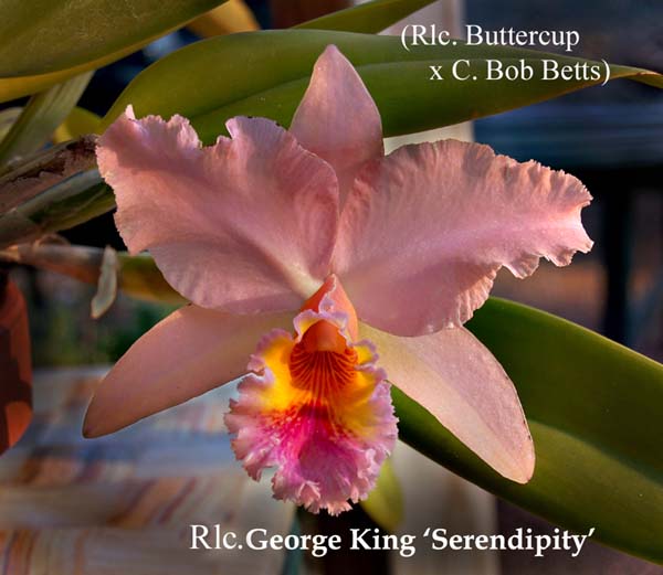Rlc. George King  0006