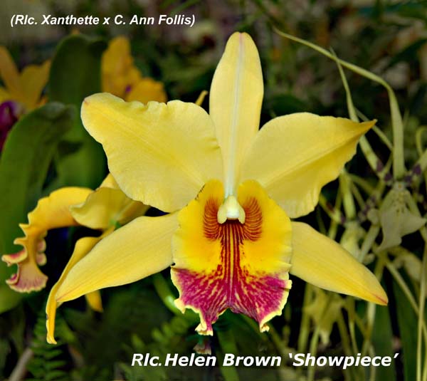 Rlc. Helen Brown _4373