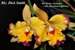 Rlc Hisako Akatsuka x Rlc. Hawaiian Lightning_5136