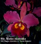 Rlc Hisako Akatsuke9517