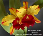 Rlc Toshie Aoki _7858