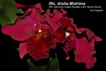 Rlc. Aloha Mishima_2685
