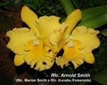 Rlc. Arnold Smith_8811