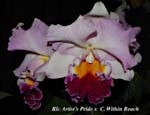 Rlc. Artists Pride x C. Within Reach_9627