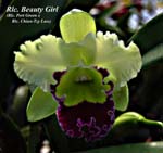 Rlc. Beauty Girl _2837