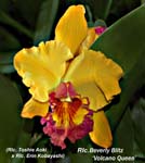 Rlc. Beverly Blietz _5517
