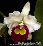 Rlc. Blanche Aisaka _5401