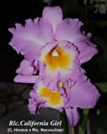 Rlc. California Girl8792