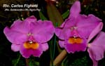 Rlc. Carlos Fighetti_2729