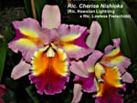 Rlc. Cherise Nishioka _5706