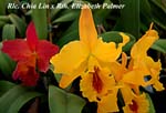 Rlc. Chia Lin x Rth. Elizabeth Palmer_6947