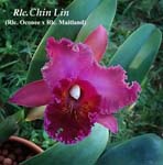 Rlc. Chia Lin_1101