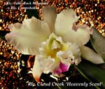 Rlc. Cloud Creek _1085