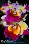 Rlc. Dick Smith_7182