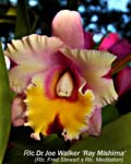 Rlc. Doctor Joe Walker_6759