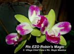 Rlc. EZO Robins Magic_2268