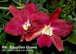 Rlc. Egyptian Queen _4659