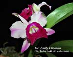 Rlc. Emily Elizabeth_3664