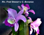 Rlc. Fred Stewart x C. Bonanza_1067