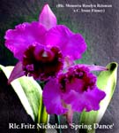 Rlc. Fritz Nickolaus 3455
