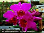 Rlc. Genevieve Lewis_1556
