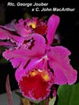 Rlc. George Joubert x C. John MacArthur_8786