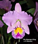 Rlc. George King x C. Horace_8687