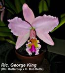 Rlc. George King