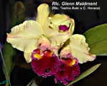 Rlc. Glenn Maidment _4132