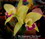 Rlc. Greenwich _0812