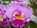 Rlc. Hausermann's Holiday_2595