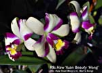 Rlc. Haw Yuan Beauty _6494