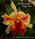 Rlc. Hawaiian Super Flare_7773