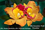 Rlc. Hawaiian Thrill 5939