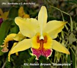 Rlc. Helen Brown _4373
