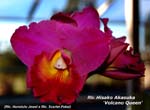 Rlc. Hisako Akasuka - Volcano Queen_8739
