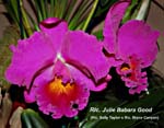 Rlc. Julie Babara Good_9035