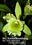 Rlc. Karnmaneethong _4631