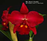 Rlc. Kozo's Scarlet_5447