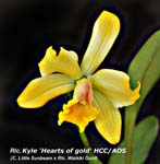 Rlc. Kyle HCC_AOS_4889