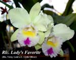 Rlc. Lady's Favorite_6940