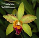 Rlc. Lawless Romeo _5789