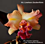 Rlc. Lawless Zauberflote_1974