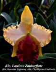 Rlc. Lawless Zauberflote_5323