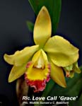 Rlc. Love Call_4230
