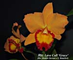 Rlc. Love Call_5212