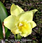 Rlc. Luna Juane 1028