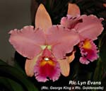 Rlc. Lyn Evans_9031