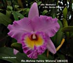 Rlc. Mahina Yahira 'Mishmo' AM_AOS_5097